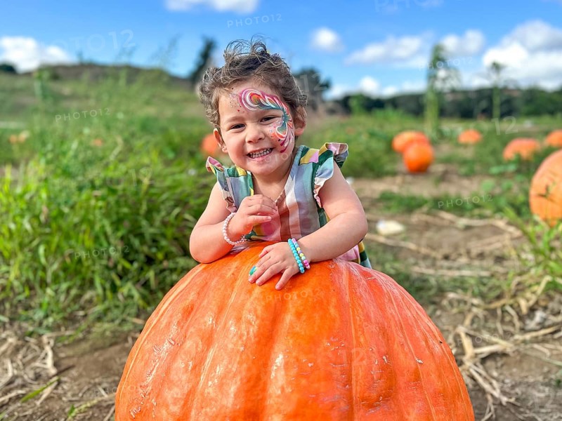 Little girl picking pumpkins on Halloween pumpkin patch. Child playing in field of squash, Thanksgiving holiday season