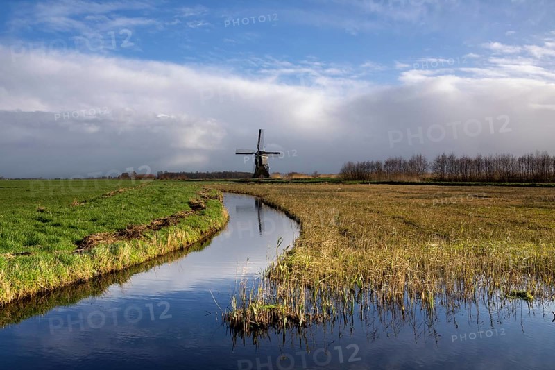 Dutch polder landscape with a windmill in the region Alblasserwaard