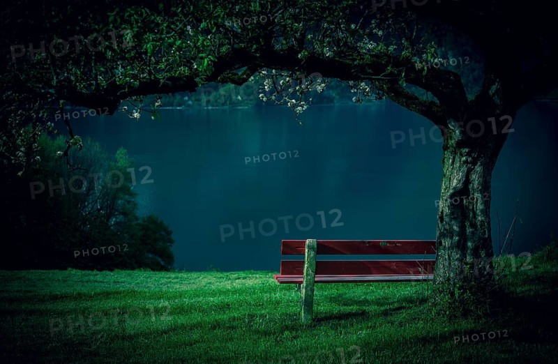 Red wooden bench in a blooming orchard with a beautiful view of the lake Walensee, in the Swiss Alps. Picture taken near the village Unterterzen, Switzerland, Europe