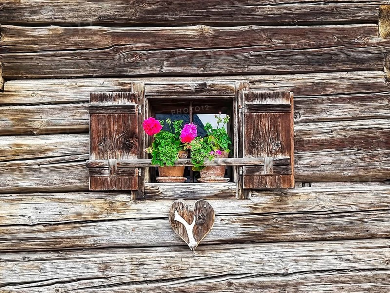 Old vintage wooden window with geranium flowers in the small alpine village Tauplitz, a famous tourist attraction, Styria region, Austria, Europe