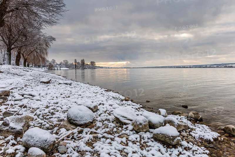 Snow-covered shore of a lake with stones and trees in the background. A peaceful winter landscape with a cloudy sky, Seegarten, Allensbach, Baden-Württemberg, Germany, Europe