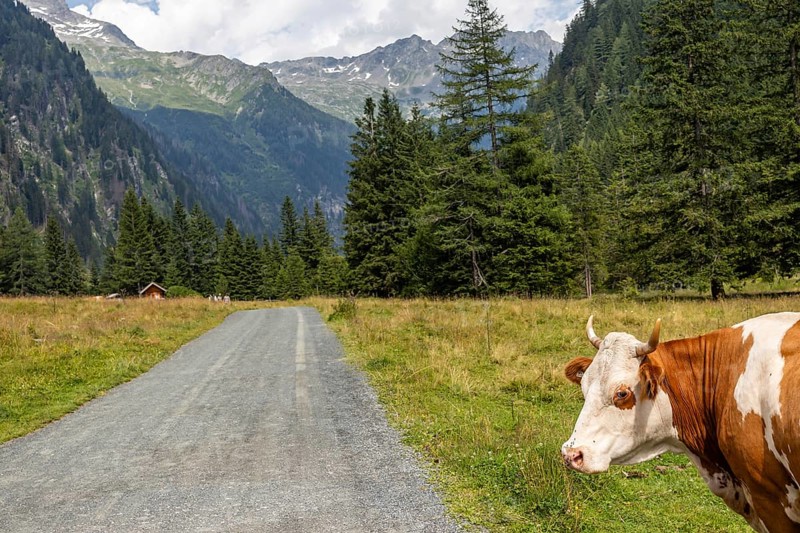 Impressions from Mallnitz Hohe Tauern National Park Seebachtal