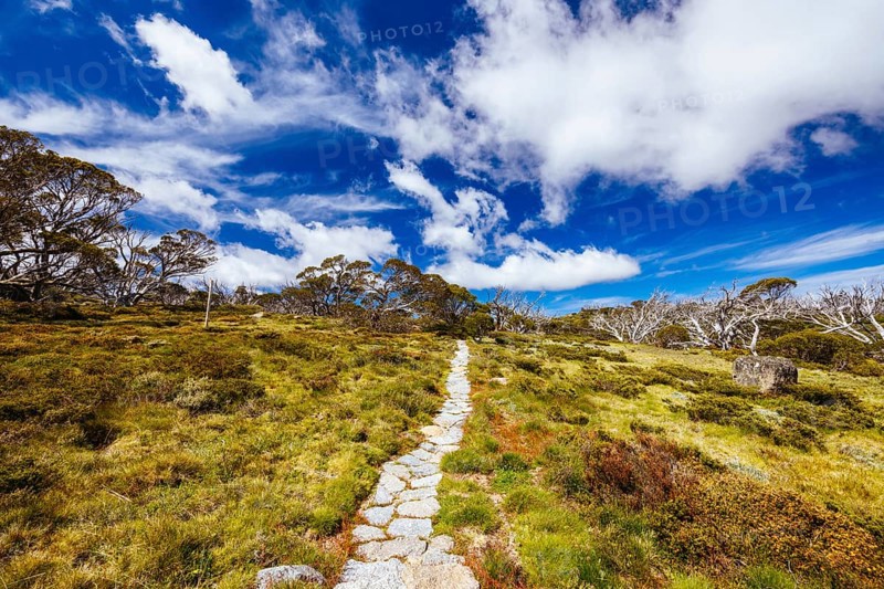 Landscape views along the Porcupine Walking Track on a summer's day in Kosciuszko National Park, Snowy Mountains, New South Wales, Australia, Oceania