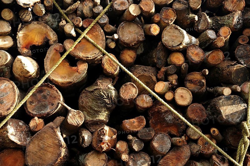 Truck loaded with firewood, munnar, kerala, India, Asia