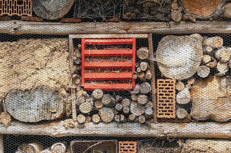 Insect hotel habitat