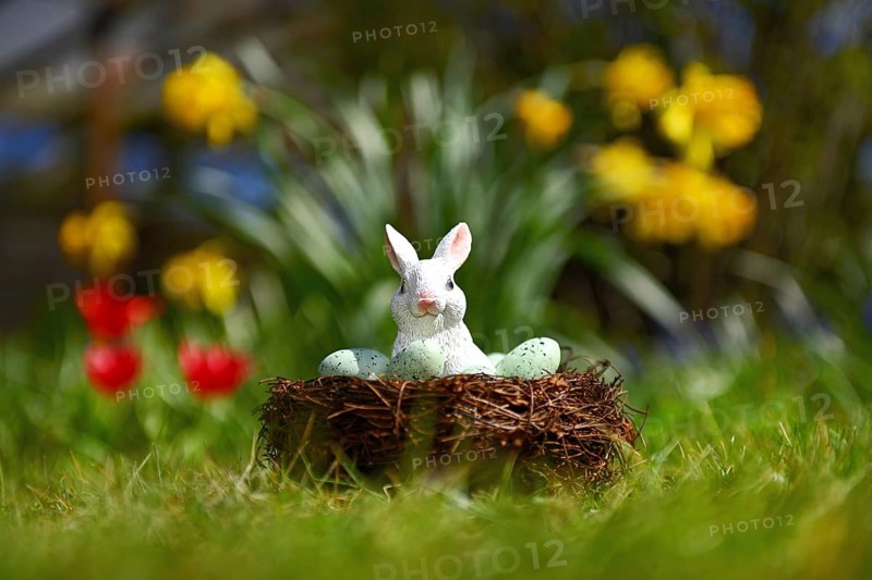 Easter bunny in the Easter nest in front of spring flowers