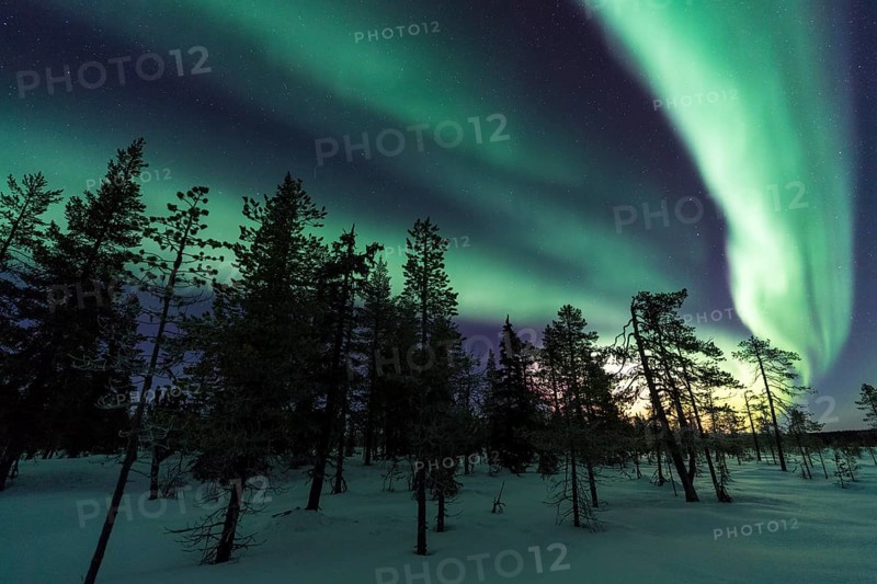 Northern Lights (Aurora borealis), Muddus National Park, Laponia World Heritage Site, Norrbotten, Lapland, Sweden, December 2016, Europe