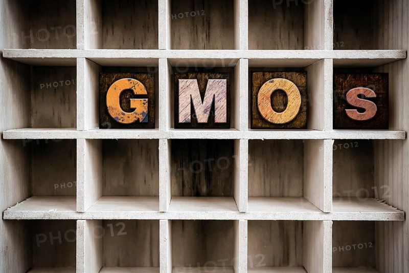 The word GMOS written in vintage ink stained wooden letterpress type in a partitioned printer's drawer