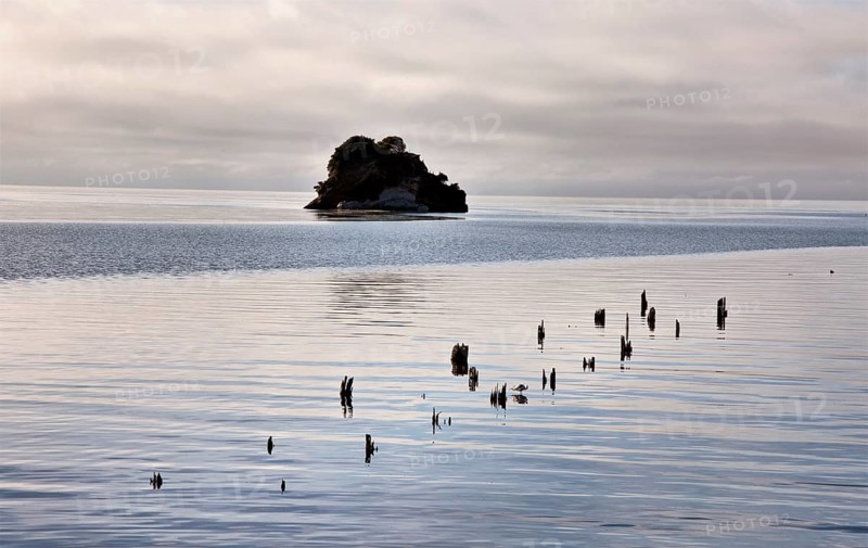 Cook Strait Collingwood New Zealand Ocean Island
