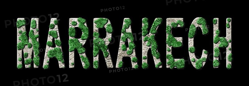 Marrakech Reforestation and Biophilia, Marrakech Green Typography