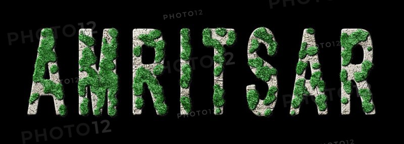 Amritsar Reforestation and Biophilia, Amritsar Green Typography