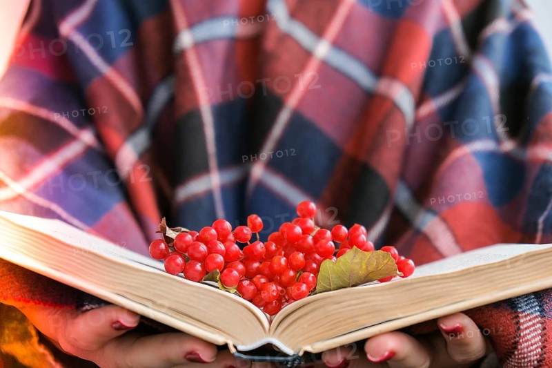 Stylish red female nails. Hands Holding Red Currants and reading book. Modern Beautiful manicure. Autumn winter nail design concept of beauty treatment. Gel nails. Skin care. Wellness. Trendy colors