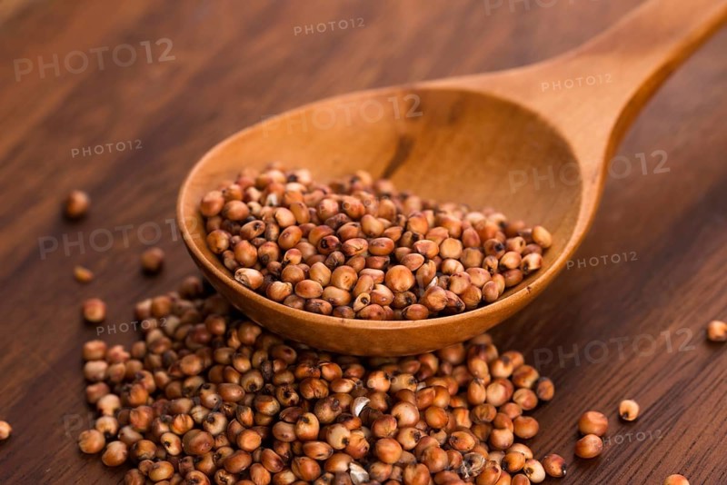 Sorghum, rice