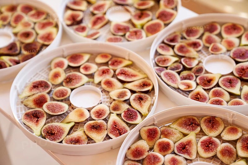 Fruit drying process on plates. Close up.