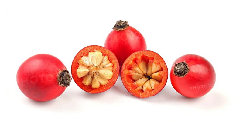 Rosehips (Rosa Canina fruits), one cut in half isolated on white background, Liptovsky Hradok, Slovakia, Europe