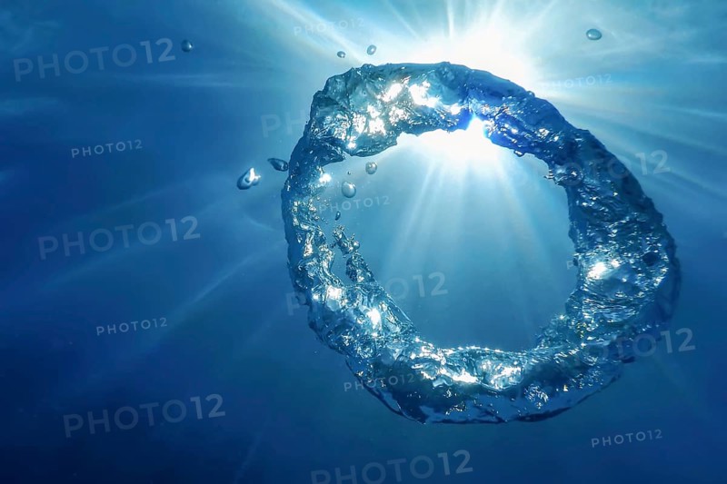Underwater Bubble Ring Ascends towards the Sun