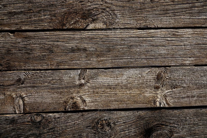 Grunge weathered wooden board of gray wood of pine