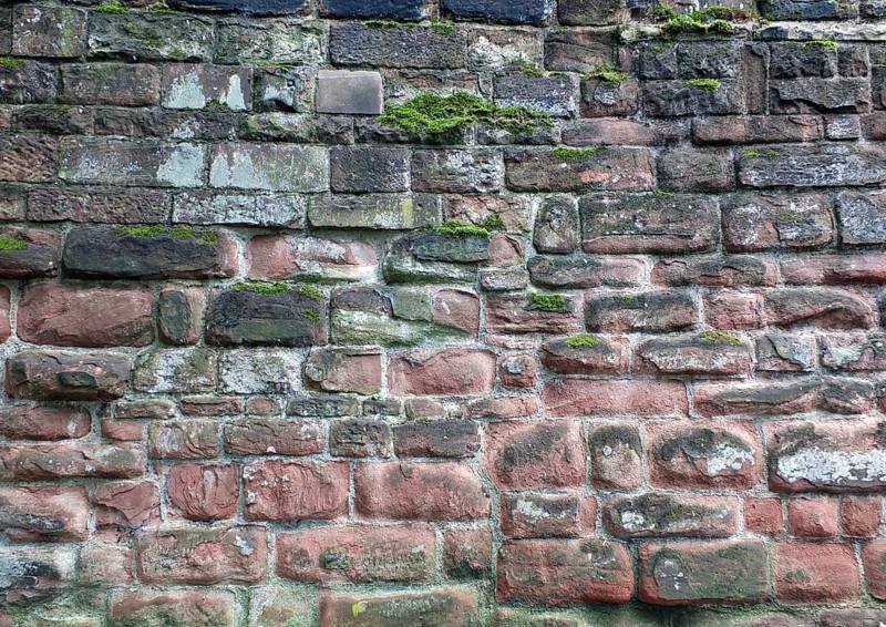 Full frame image of an ancient sandstone wall in red and black colors with sodd and algae growing on the surface