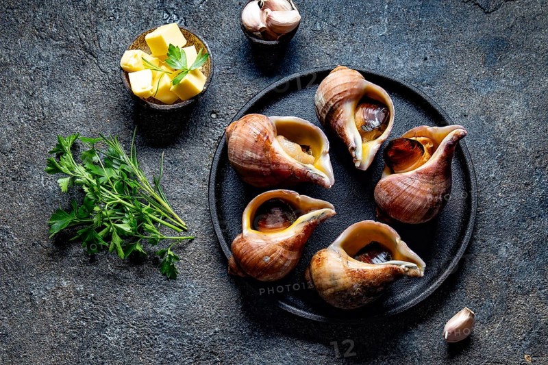 Food, Food, Raw ingredients giant ESCARGOT from Pacific ocean. Chilean big snails, butter, garlic and parsley