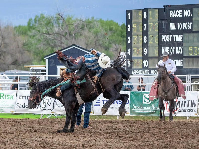 Rodeo ride at the Bucking Horse Sale, Rodeo, Miles City, Montana, USA, North America