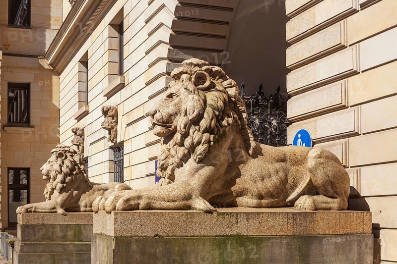 Lion statue at Hamburg City Hall, Hamburg, Germany, Europe