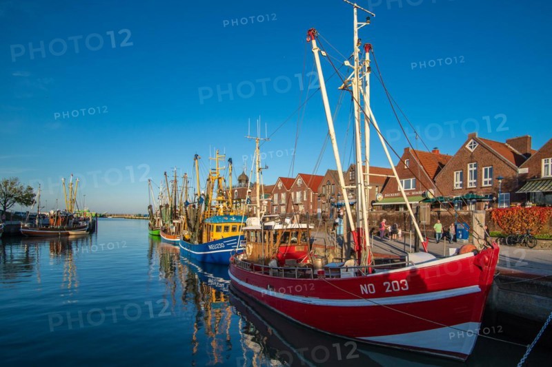 The harbour of Neuharlingersiel, East Frisia, Lower Saxony, fishing boats, fishing cutter, Neuharlingersiel, Lower Saxony, Federal Republic of Germany