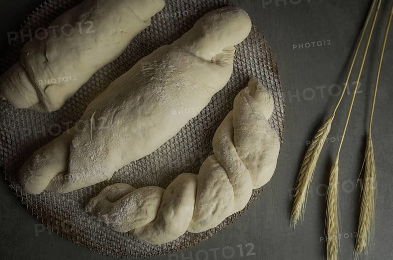 Sourdough bread fermenting, gray background with dried wheat flower
