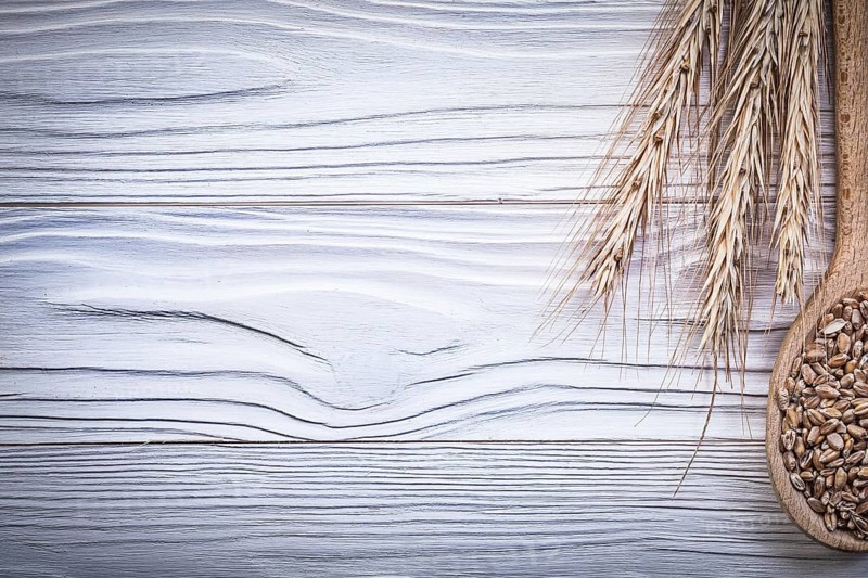 Ripe wheat and rye ears wooden spoon corn on wood board copy space