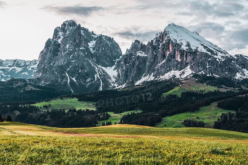 Panoramic view of the Langkofel Group from Seiser Alm in the Dolomites in South Tyrol, Italy, Europe