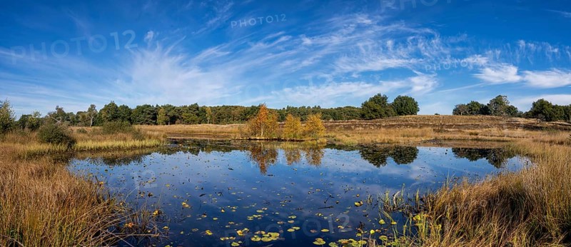 The Rolvennen is a beautiful lake in the Dutch National Park Meinweg close to the city Roermond in Limburg