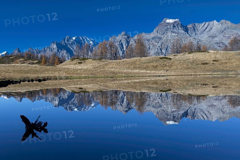 Mountains and a tree trunk are reflected in a calm lake under a clear blue sky, Pizzo Cornera 3083 m, Monte Cervandone 3210 m, Laghi del Sangiatto, Alpe Devero, Val d'Ossola, Province Verbano-Cusio-Ossola, Piedmont, Italy, Europe