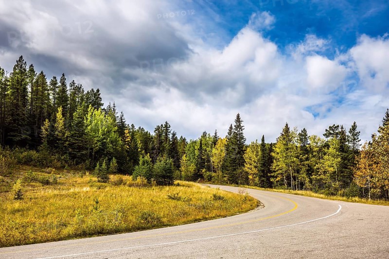 Perfect storm sunset over the Rocky Mountains. The road is among the gorgeous autumn forest