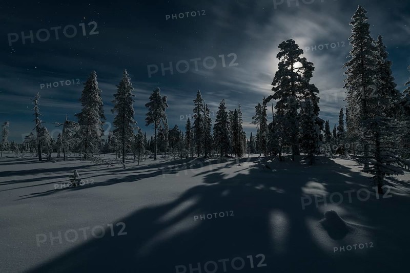 Moonlit winter landscape, Muddsus Nationalaprk, Laponia World Heritage Site, Lapland, Sweden, November 2017, Europe