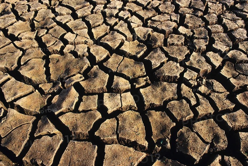 Cracked on earth, clay pattern, prismatic structures in soil, drought