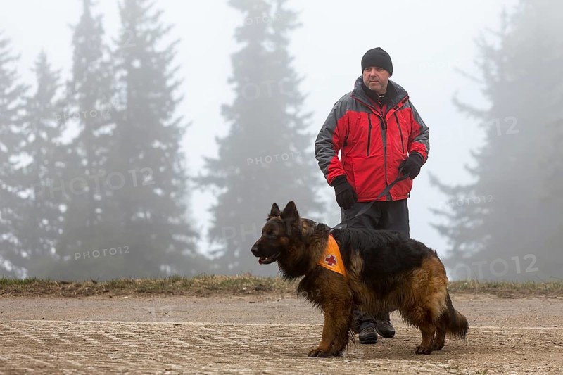 Sofia, Bulgaria - April 20, 2016: A man and his dog at the search and rescue team at Bulgarian Red Cross are participating in a training in the foggy mountain