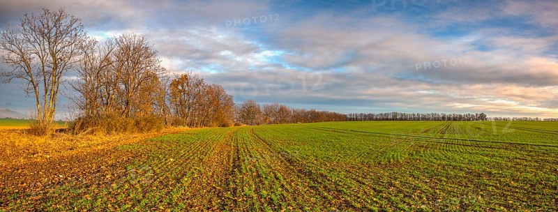 Autumn morning landscape over the city of Louny. Autumn sown field at amazing sunrise. Czech Republic. Panorama image