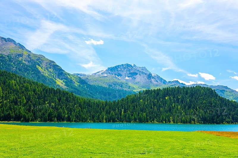 Beautiful Alpine Lake Silvaplana with Mountain View in the Swiss Alps in a Sunny Summer Day in Silvaplana, Maloja, Grisons, Switzerland, Europe