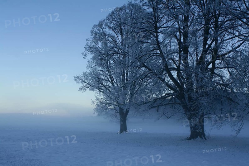 Winter scene.A landscape in Alps. Near Fuessen, Germany, Europe