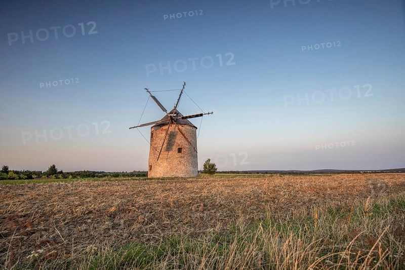 Windmill with wooden sails in a landscape with fields. Meadows and flowers appear in the sunset. Landscape shot in nature with a windmill. Historically atypical for the Balaton region in Hungary