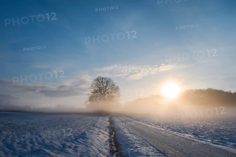 Winter landscape with a country road and agricultural fields covered in snow, at sunrise, on a foggy morning of February