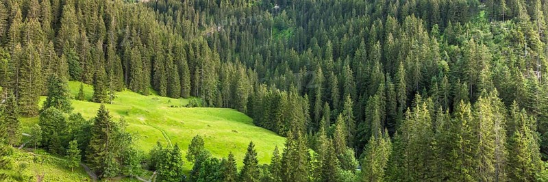 Abstract nature background