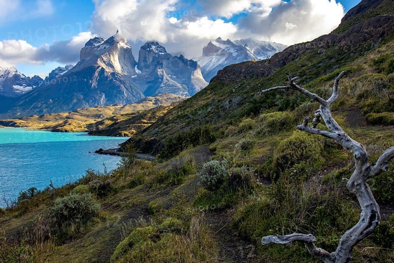 Pehoe lake in Torres del Paine chilean national park in Patagonia