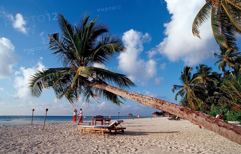Beach on Maldives Island, Maldives, Indian Ocean, Medhufushi, Meemu Atoll, Asia