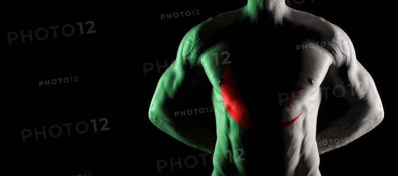 Algeria flag on muscled male torso with abs, black background