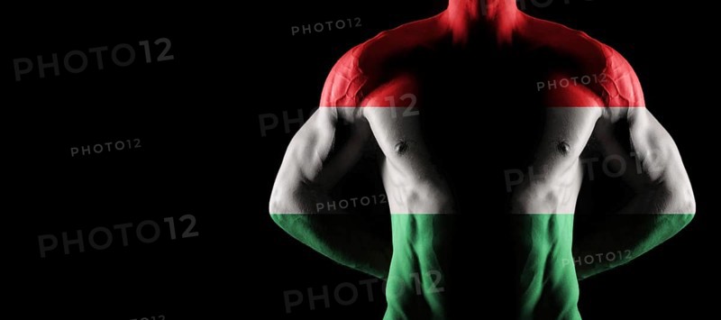 Hungary flag on muscled male torso with abs, black background