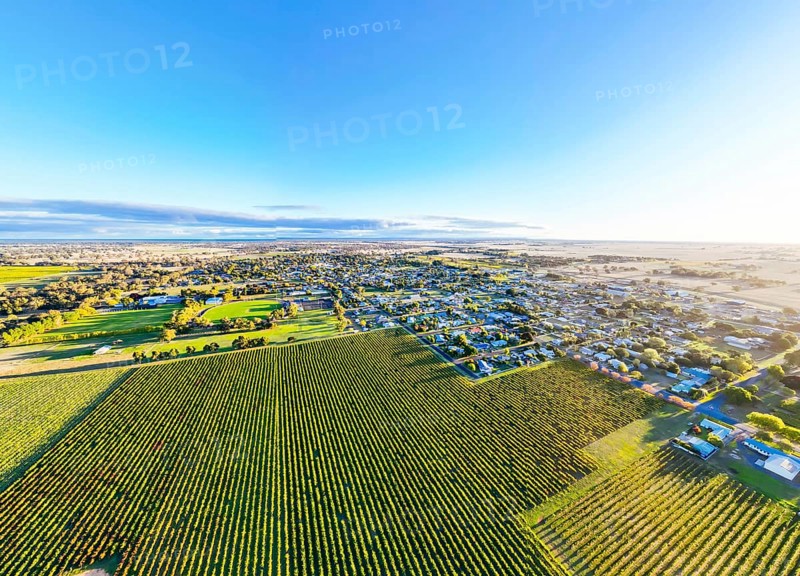 Autumn sunset around the rural country town of Penola in the Coonawarra wine region in South Australia, Australia, Oceania