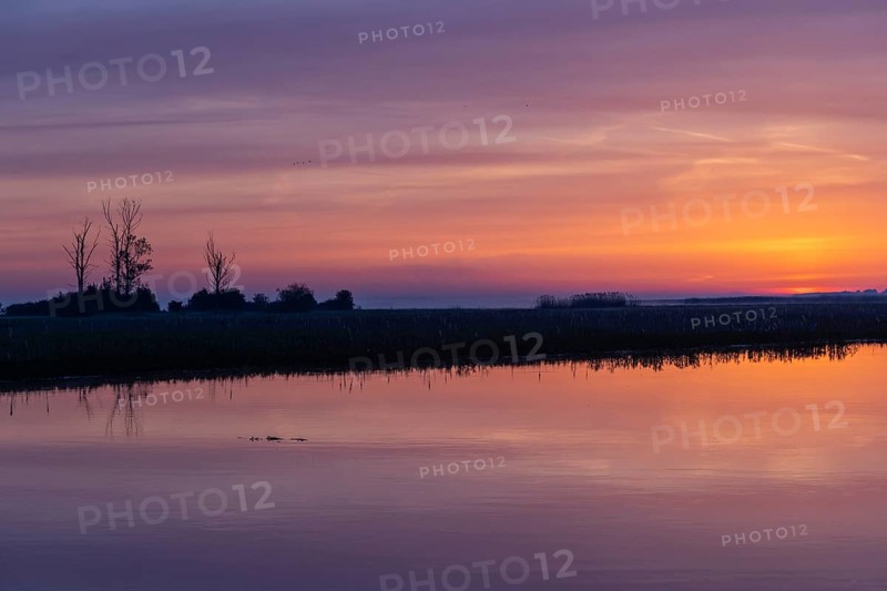 Biebrza National Park, sunrise, morning mood, wetland, river, Poland, Europe