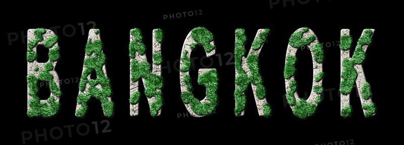 Bangkok Reforestation and Biophilia, Bangkok Green Typography