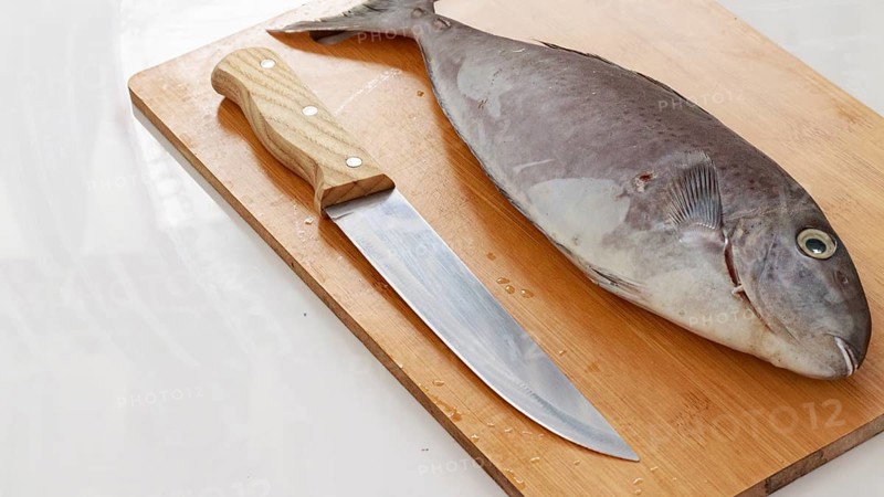 A horseface unicorfish or naso fageni fish and a knife on a wooden cutting board ready for cooking preparation