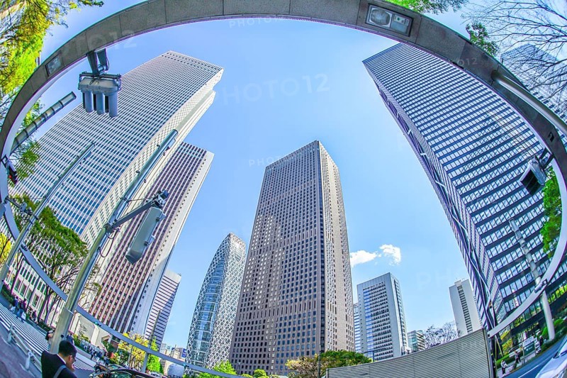 Fresh green of Shinjuku. Shooting Location: Tokyo metropolitan area